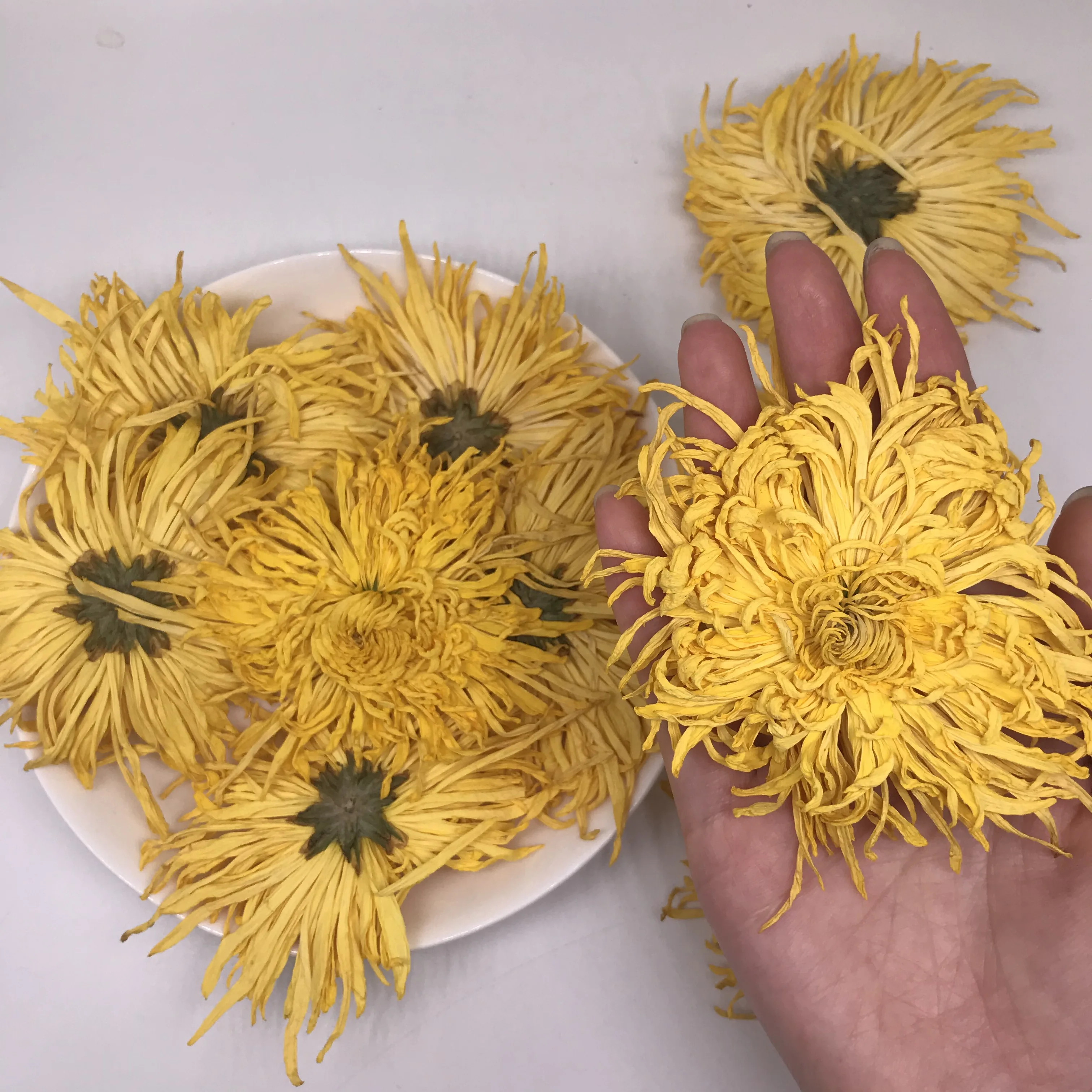 4024 Jin Si Huang Ju Blooming Tea Chrysanthemum Tea Gold Emperor Chrysanthemum Flower Tea