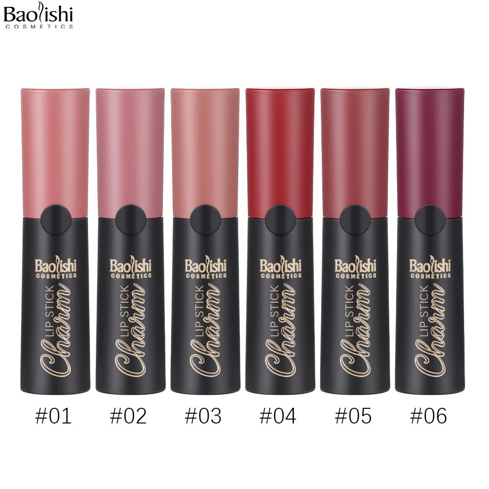 BAOLISHI  6 Colors Matte Waterproof Velvet Nude Lipstick Sexy Red Brown Pigments Makeup Long Lasting Profession Factory