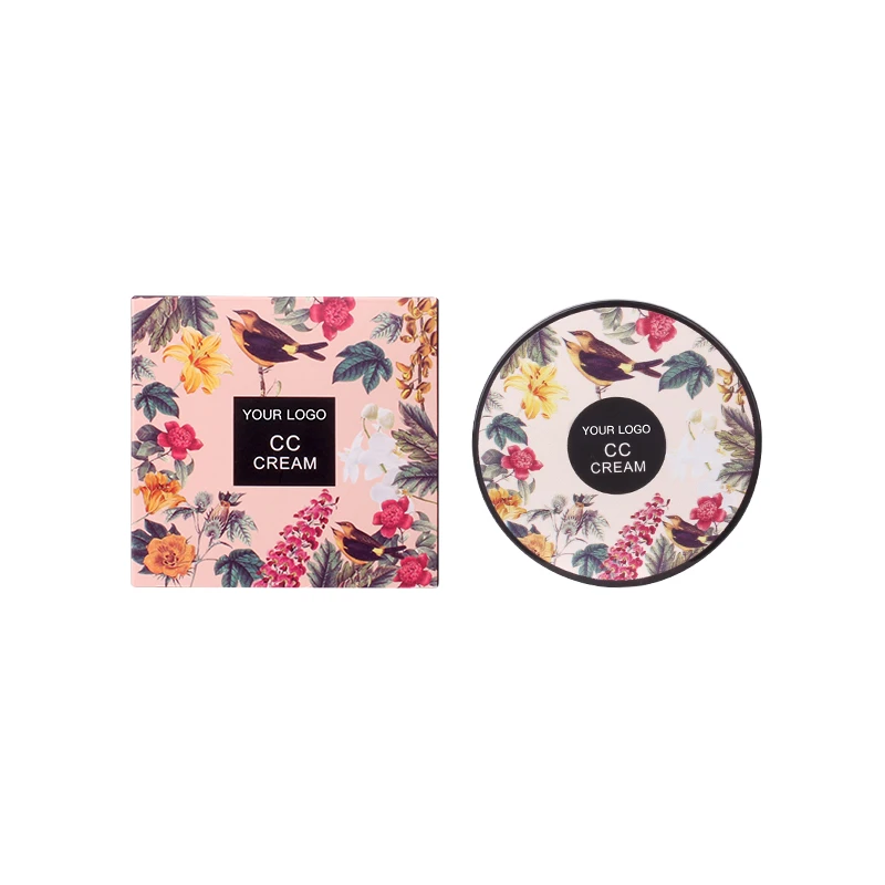 wholesale High-quality custom long-lasting docile moisturizing mushroom head air cushion foundation BB cream CC cream