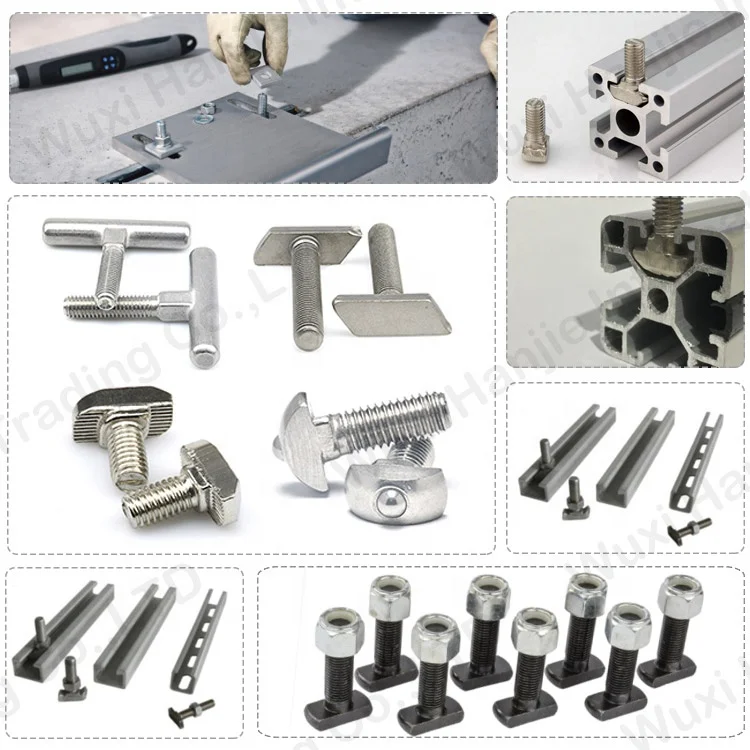 China Factory Price Stainless Steel SS304 Parallelogram T Head Bolts