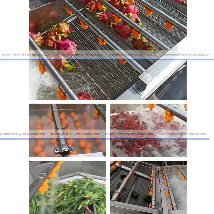 Commercial Potato Radish Parsley Washing Machine Lettuce Tomato Washer Fruit Vegetable Cleaning Machine