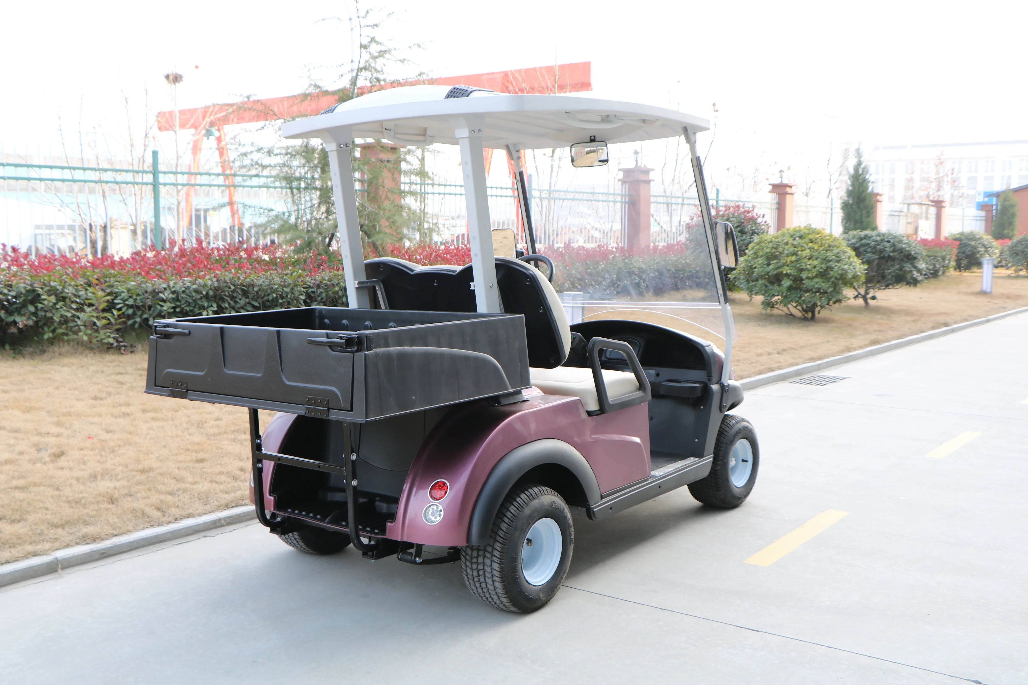 Hot Sell Graceful Design 2 Seater Golf Buggy Electric Cart Car for Algeria Mexico