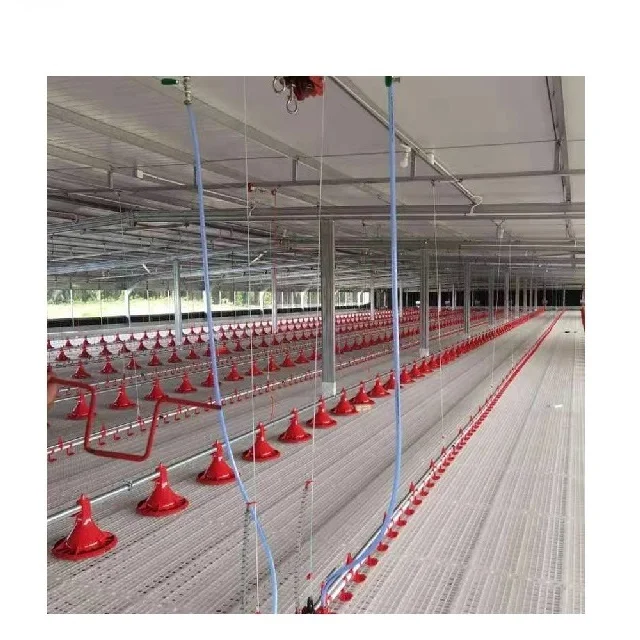 Hot sale poultry plastic slat floor white chicken floor mesh for broiler chicken coop