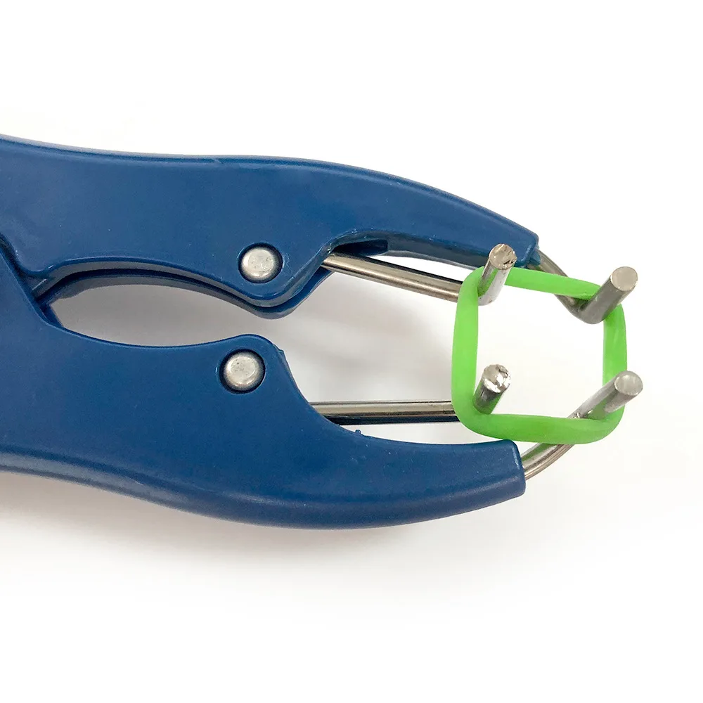 Piglets Sheep Goat Tail Goat Bloodless Castrator Bloodless Burdizzo Castration