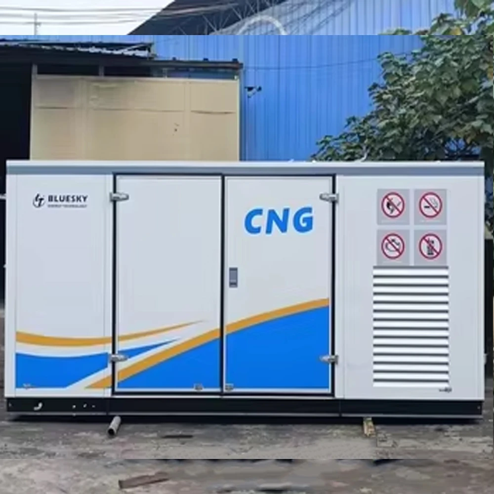 Bluesky Diesel Fuel Tank Diesel Fuel Storage Tank Skid-Mounted Mobile Gas Station Portable Fuel Station for Sale