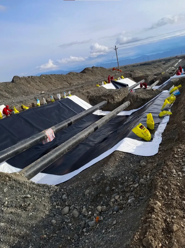 Оптовая цена Высокое качество геомембраны hdpe pp пластиковый лист 2 мм/3 мм подводка для рыбного пруда водонепроницаемая мембрана