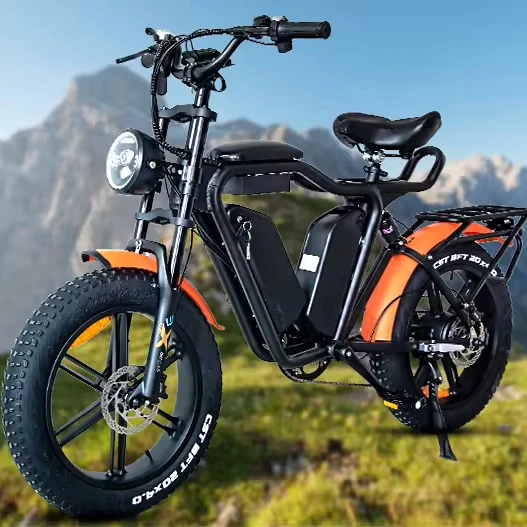 New Arrival 48v 22AH 20 Wheel Size Dual Battery 1000W Original Electric Bicycle Motorcycle E Bike Adult