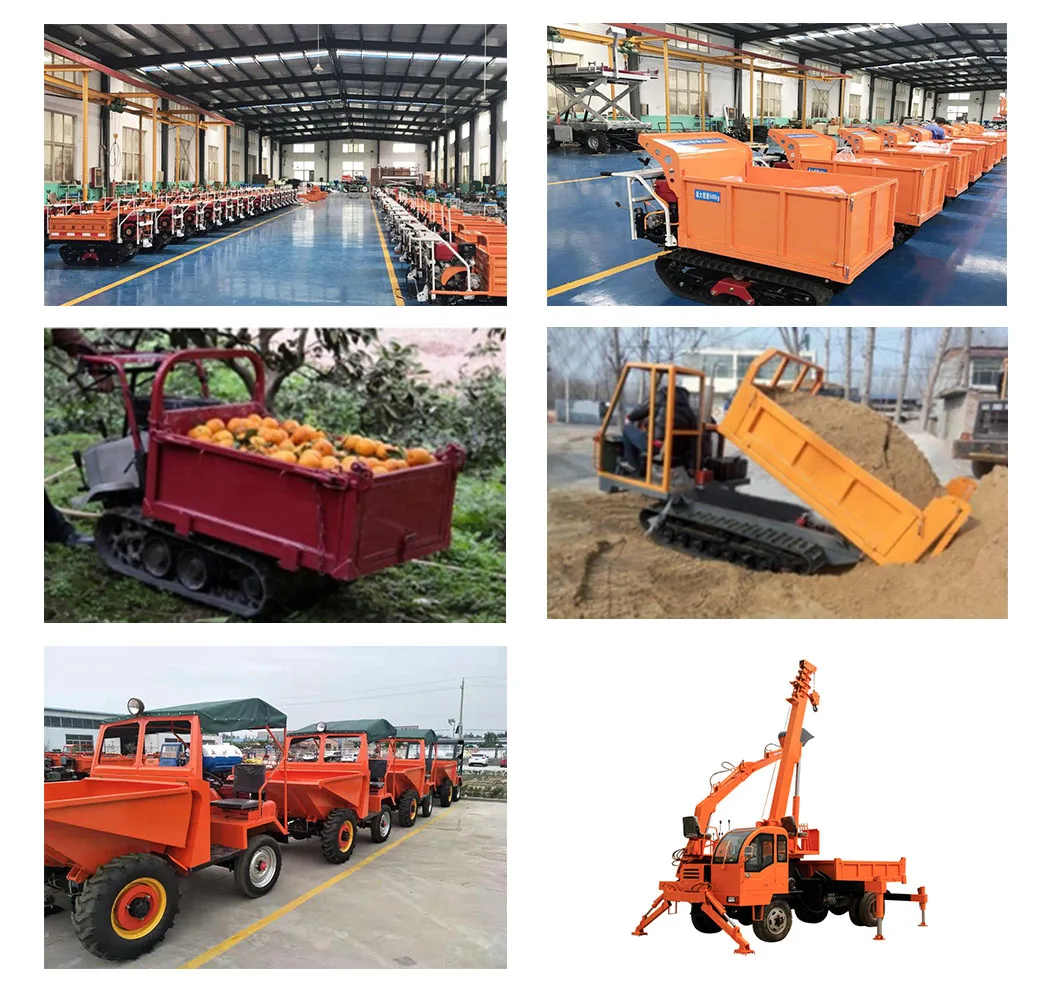  Mini crawler transporter rubber track dumper 500kg 800kg 1000kg 1ton-8ton mini dumperwith lift and crane for