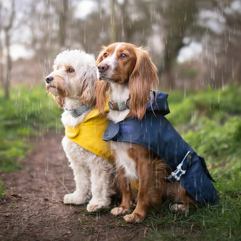 Yellow Adjustable Waterproof Lightweight Pet Rain Coat Jacket Thermal Coats Dog Clothes With Reflective Stripe Hoodie