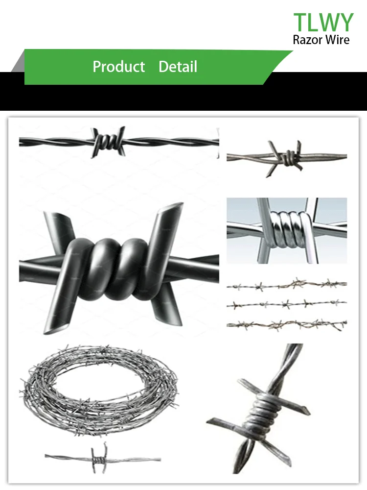 Factory Price Hot Sale Galvanized Razor Wire Fence/ Razor Barbed Wire