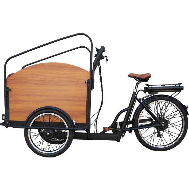 2022 electric cargo bike with alloy frame middle motor cargo tricycle /Family electric adult cargo bike carry kids/Electric biks