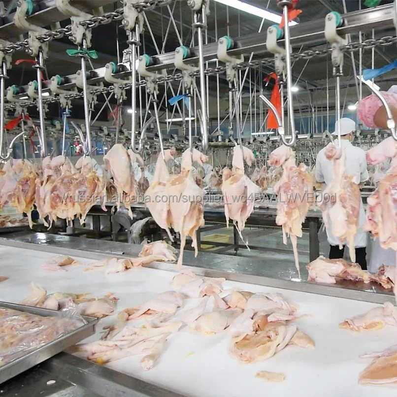 5000BPH Processing Production Turkey Poultry Slaughter Chain Line