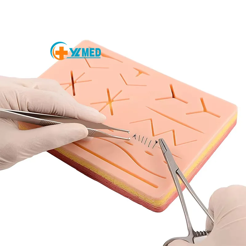 Медицинская обучающая модель человеческой кожи шовная подушечка китайского производства скелета медицинская наука медицина 10 комплектов