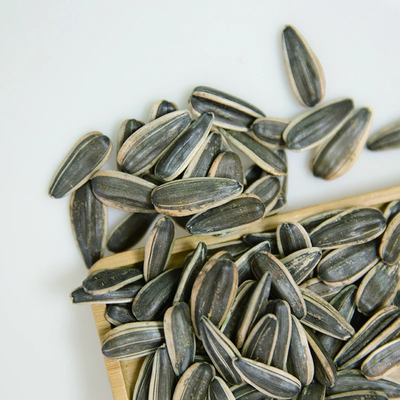 new crop best quality competitive price raw sunflower seeds  for birds