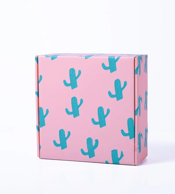 China Factory Custom Logo Flute Pink Corrugated Shipping Box With Underwear Men Paper Gift Bag For Lingerie Women Packaging Box