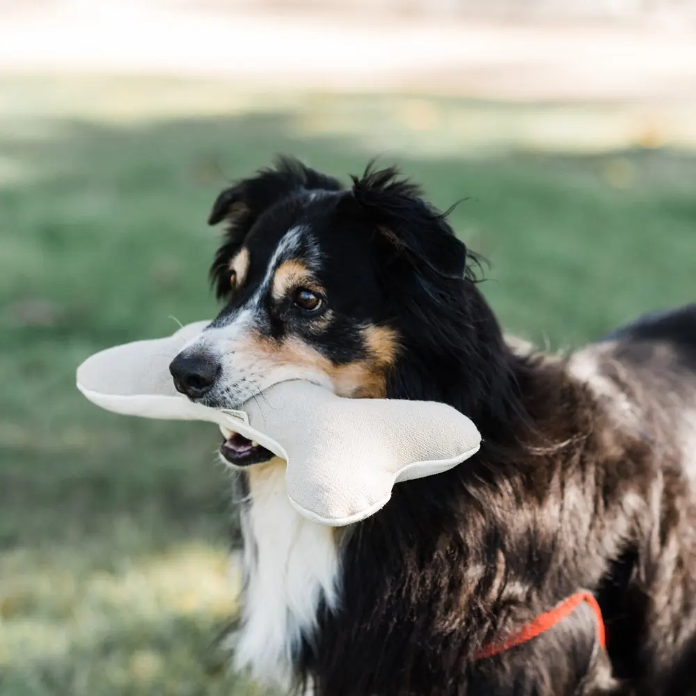Custom Bone Shape Felt Dog Toys Tear-resistant Dog Teething Toys Zhejiang Training Interactive Rope Knot Bones Plush Unisex