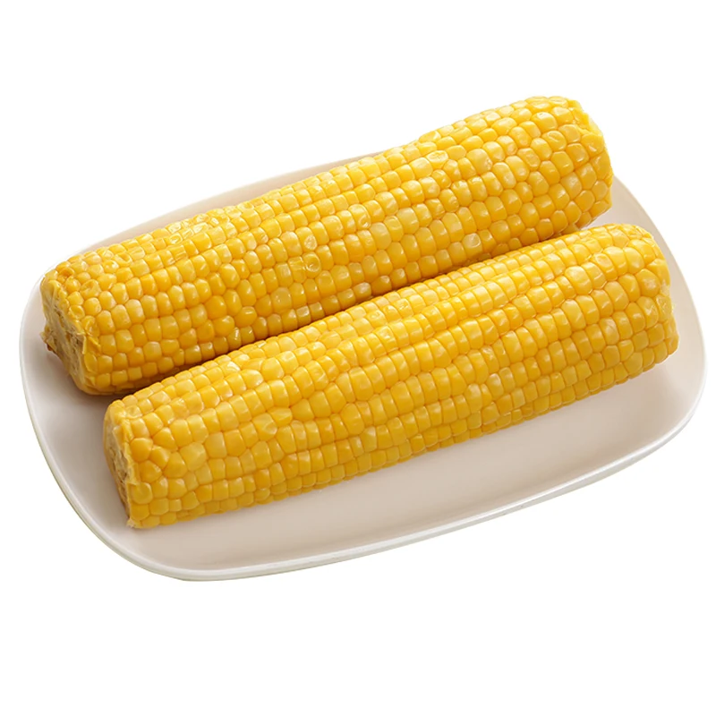 Sweet corn on the cob vacuum packaged