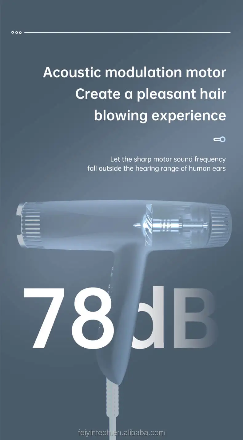 FEIYIN Constant Temperature Control Fast Delivery     Portable Hair Dryer