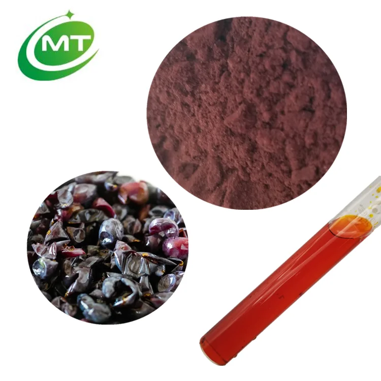 Organic Natural Colorant Botanical Pigment E10 Red Grape Skin Extract Vitis vinifera Red Powder/Grape Peel Extract Powder