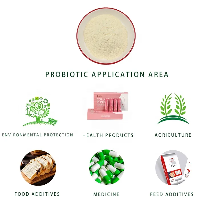 High Quality Food Grade ISO22000 HACCP Certificate  Probiotic Powder Streptococcus Thermophilus