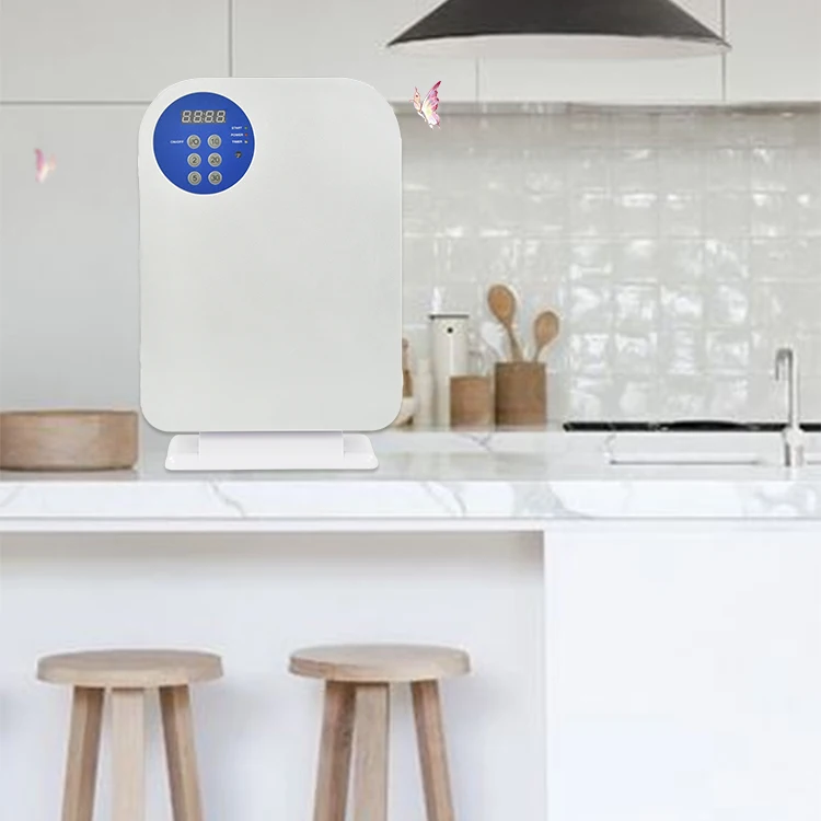 Ozone Generator Fruit And Vegetable Meat Detoxification Machine Dnd Active Oxygen Air Purifier