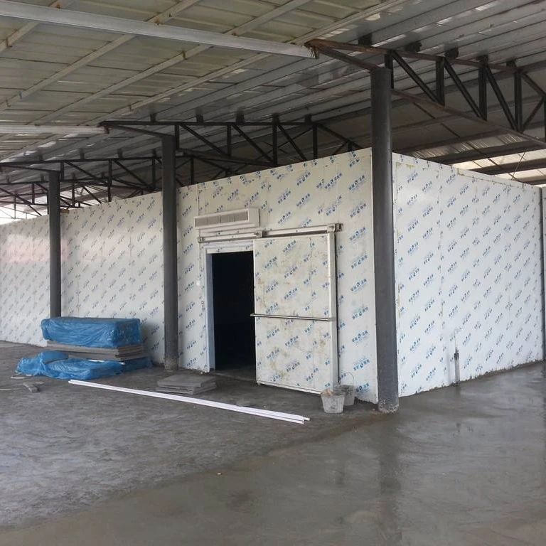 
High end Emerson unit refrigeration equipment Cold storage of fruits and vegetables 
