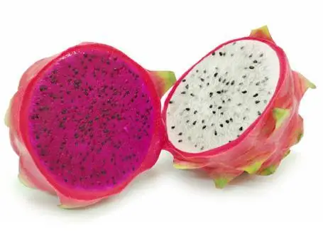 
Hot Product fresh dragon fruit Vietnam wholesales Price Dragon Fruit Price in Bulk dragon fruit vietnam 
