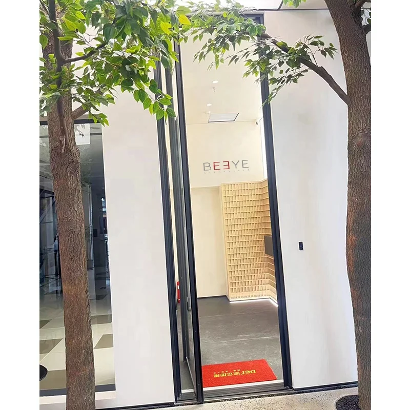 Business Glass door Custom storefront Color tempered glass entry entrance doors pivot door