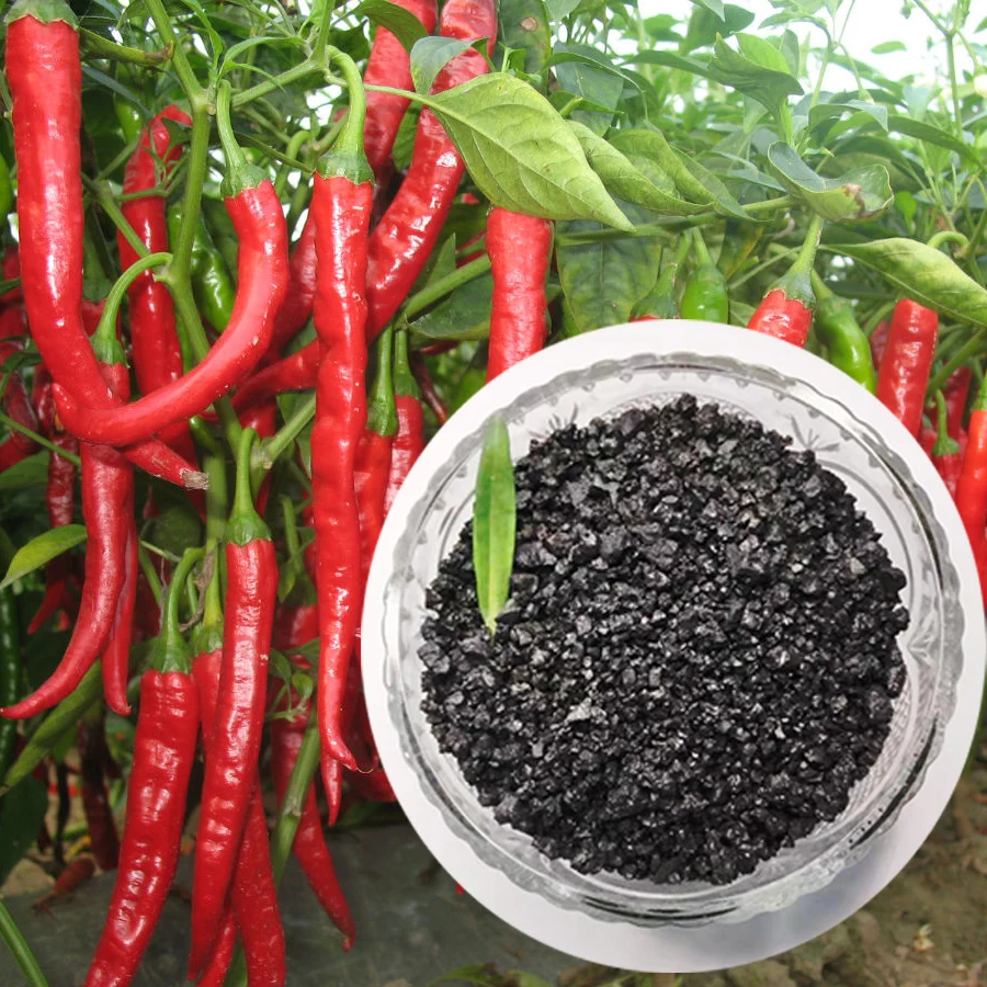 RUNTU organic fertilizer wholesale agriculture potassium humate granular as soil conditioner