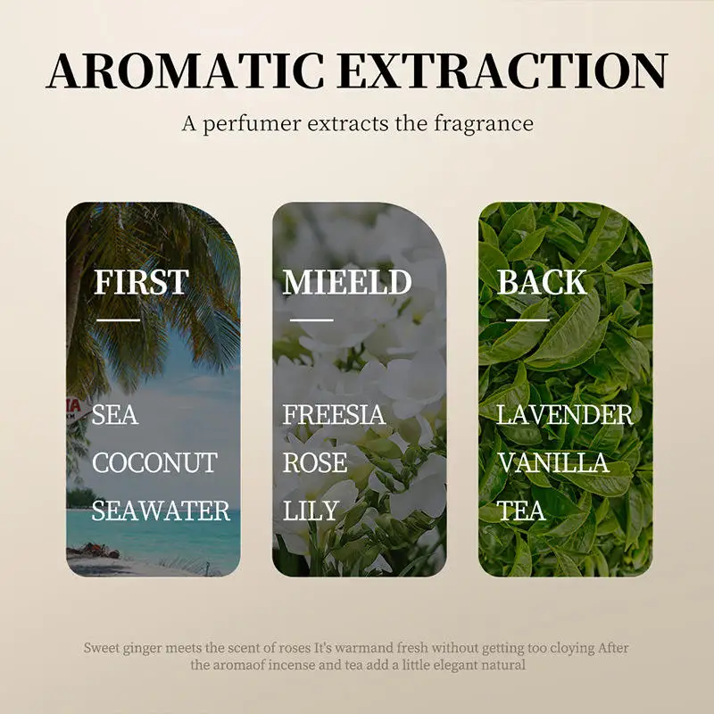 Wholesale Coconut Oil Shampoo And Conditioner Moisturizing Anti-Dandruff Organic Coconut Shampoo