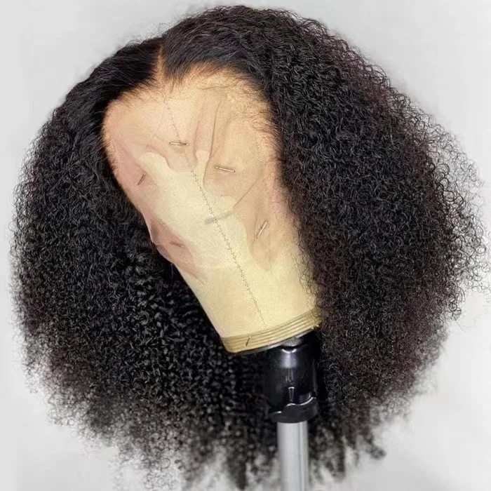 Парики Shy нового дизайна из 100 человеческих волос, парики из бразильских волос на сетке 13*4, Кудрявые Парики на полной сетке, предварительно выщипанные парики для чернокожих женщин