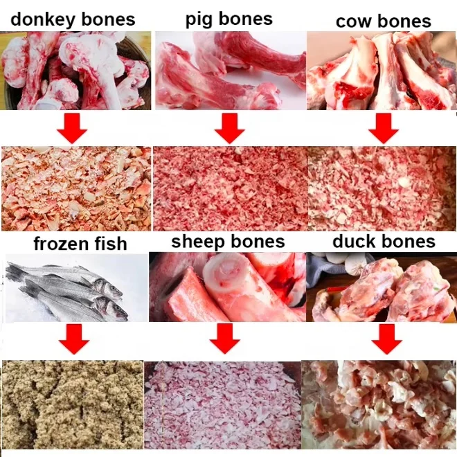 dry animal Poultry cow sheep donkey bone crusher crushing machine bone shredder powder machine for sale