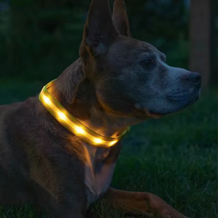 best seller USB Rechargeable LED dog collar cat pet multicolor light up dog collar