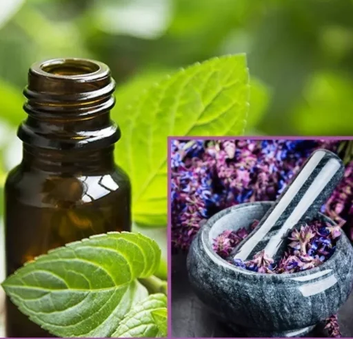 Intense hydration Private Label  Oils Certified Organic Lemon Sweet Orange Ylang  Oils for Sleep and Anxiety