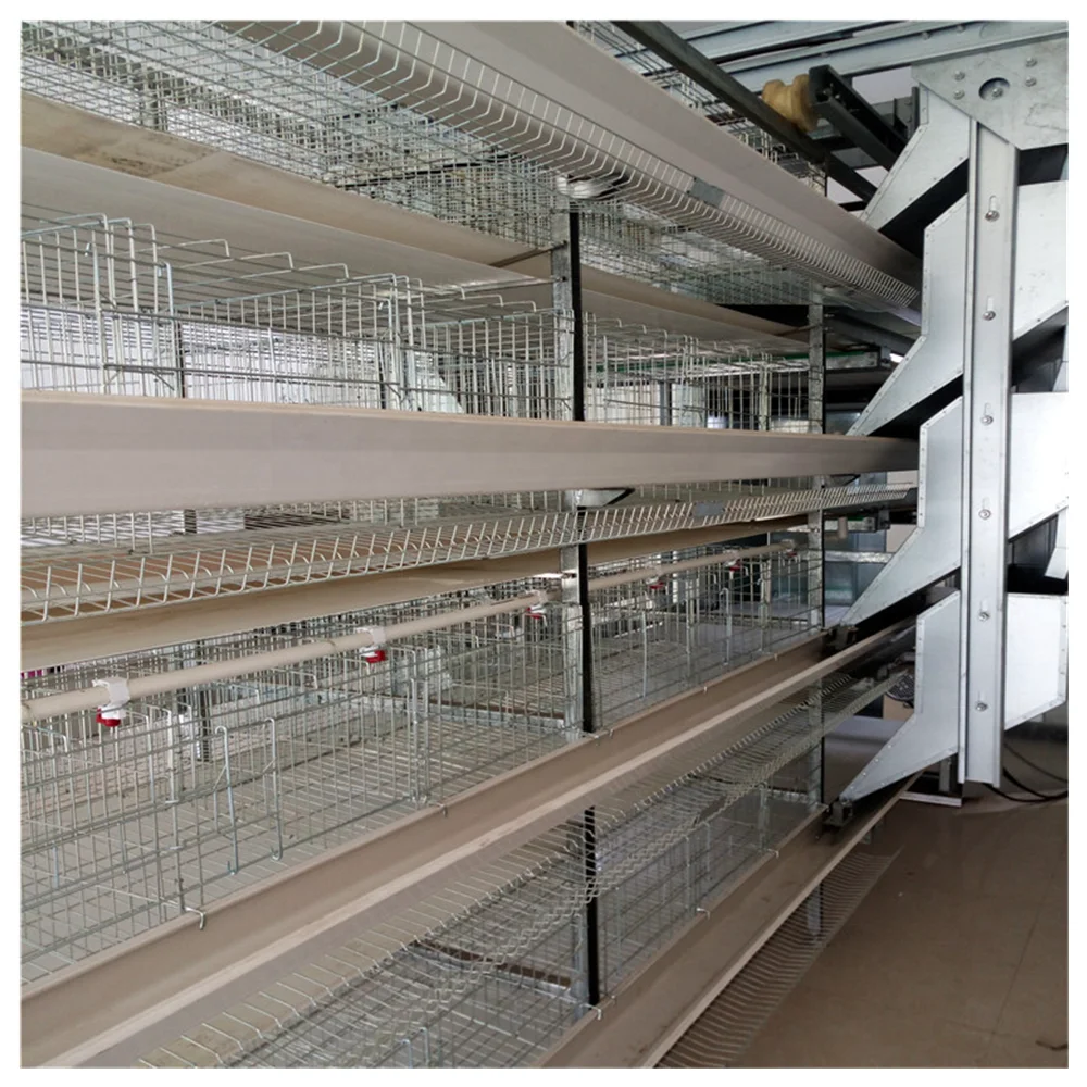 Полностью автоматическая многослойная клетка типа H для птичьего домика вместимостью 20000
