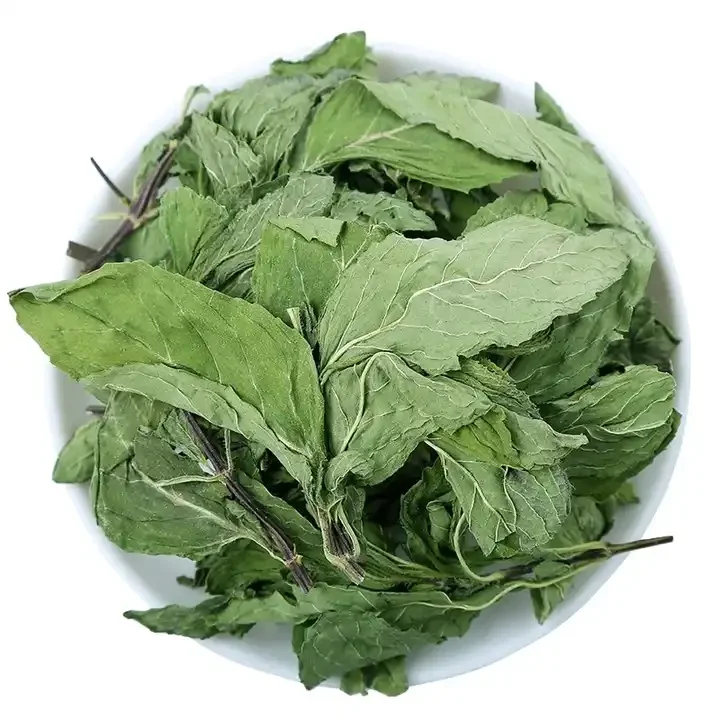 Hot Sale Dried Mint Leaves High Quality Peppermint Leaf for Herbal Tea Juice Cocktail