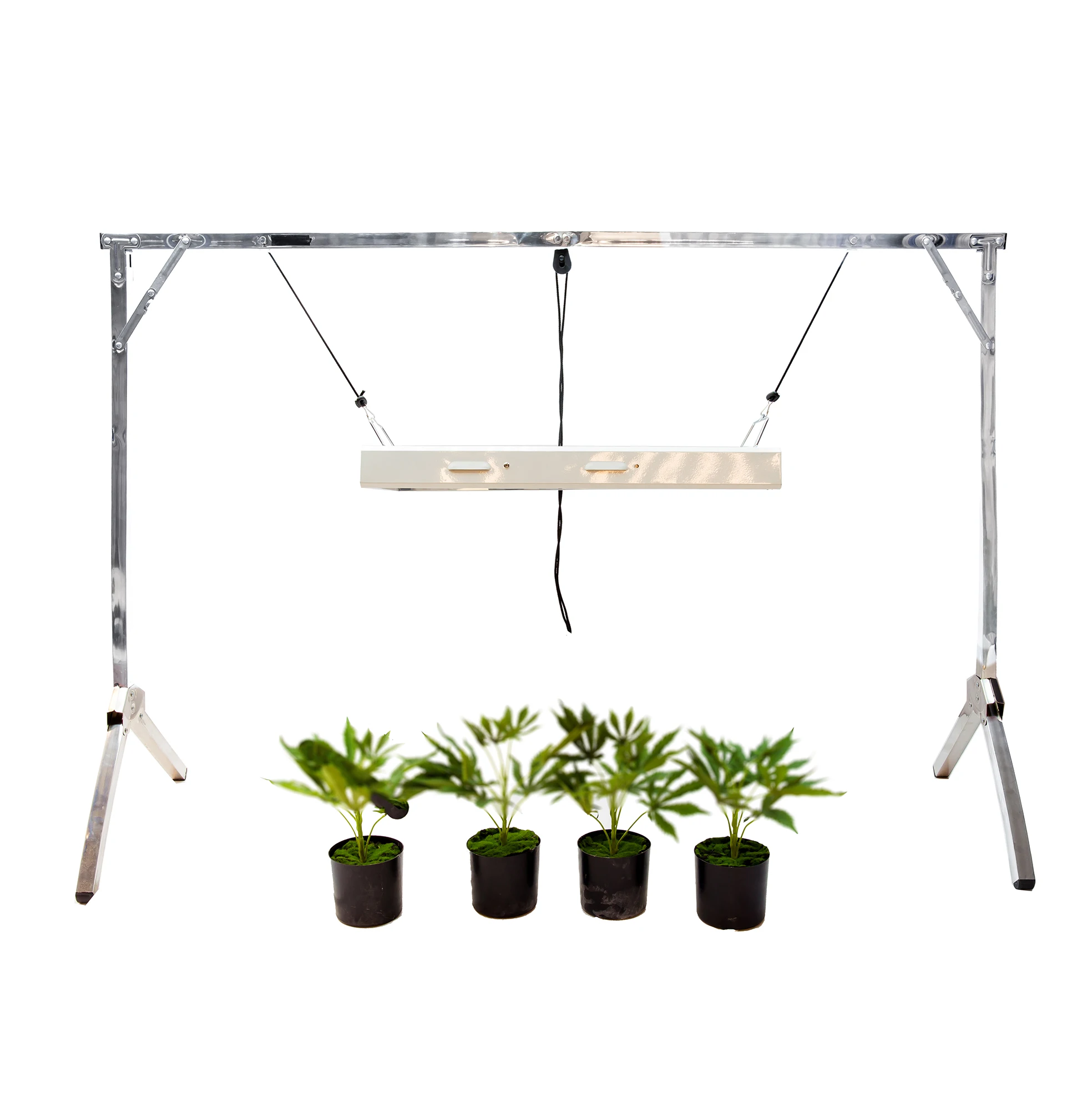 1960 2000 grow light stand.jpg