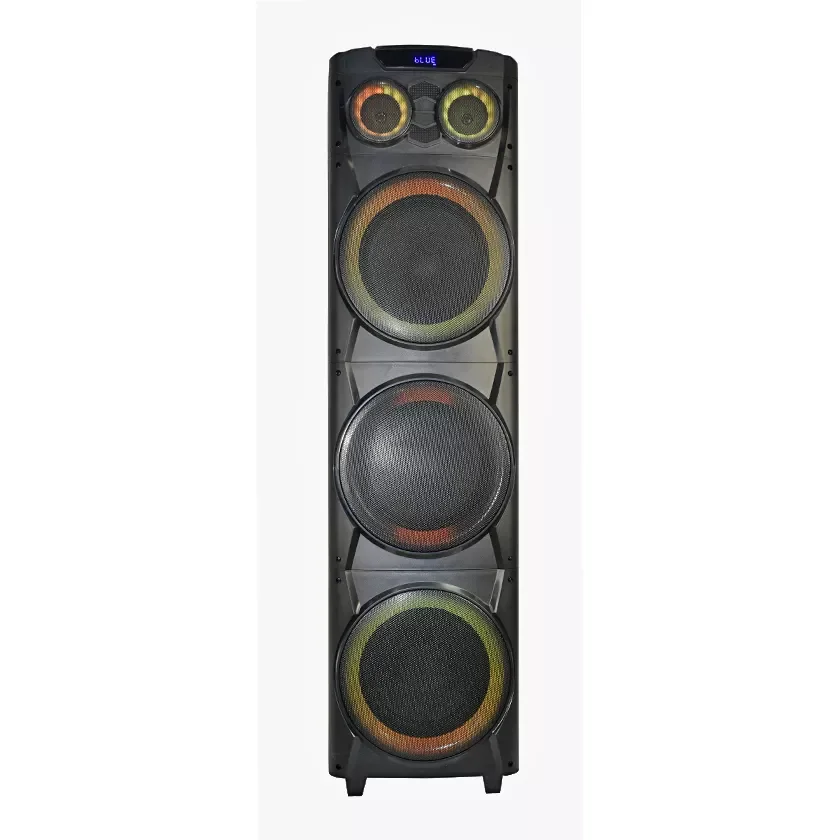 Temeisheng Wooden High Quality Speaker 3 way 10 Inch Large Stereo Speaker 200W Powerful Bluetooth Portable Wireless SpeakeR