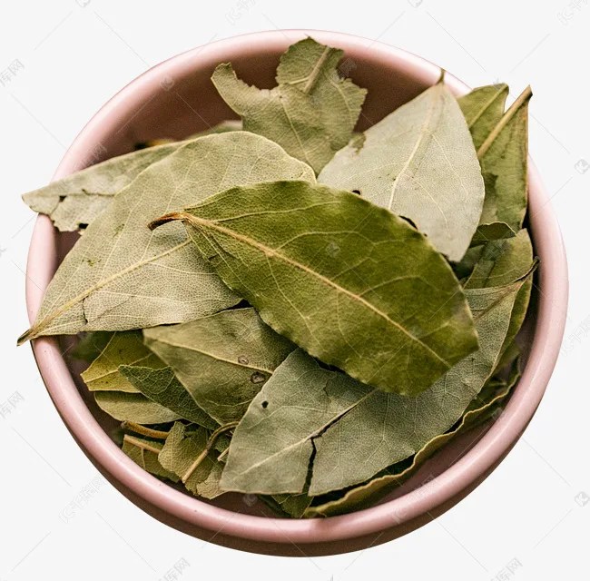 Wholesale most people buy pure natural bay leaf extract