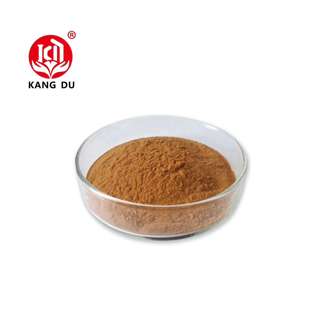 Wholesale High quality Chinese herbal bulk organic Atractylodes Rhizome Extract Powder