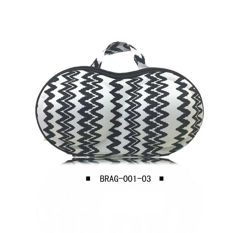 New Waterproof Travel Carrying Lingerie Packaging Bra Storage Case Box Bra Organizer Garment Bag Accept Customized Logo Rohs
