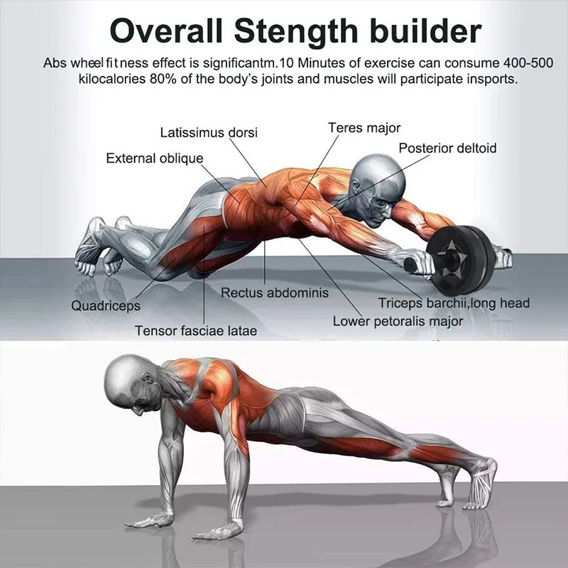 New Home Outdoors Abdominal Wheel Sets Sit-Ups Assistant Motion Gym Muscle Belly Roller