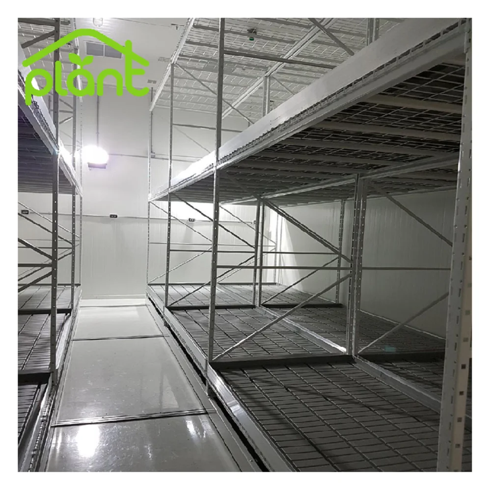 Vertical Mobile Grow Rack System Mushroom Grow Rack Equipment For Mushroom Greenhouse