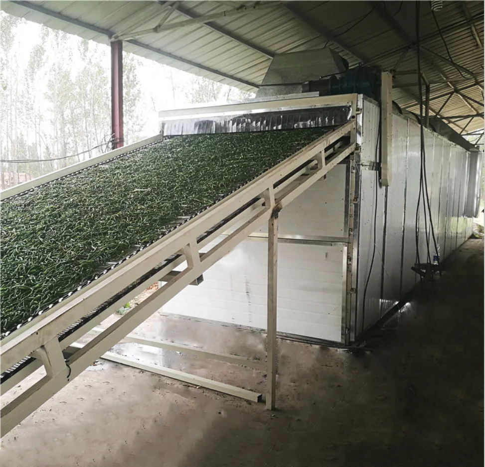 Large Capacity Continuous Hot Air Conveyor Mesh Belt Corn Dryer Machine