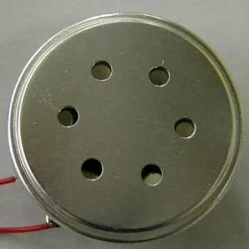 rocking armature transducer