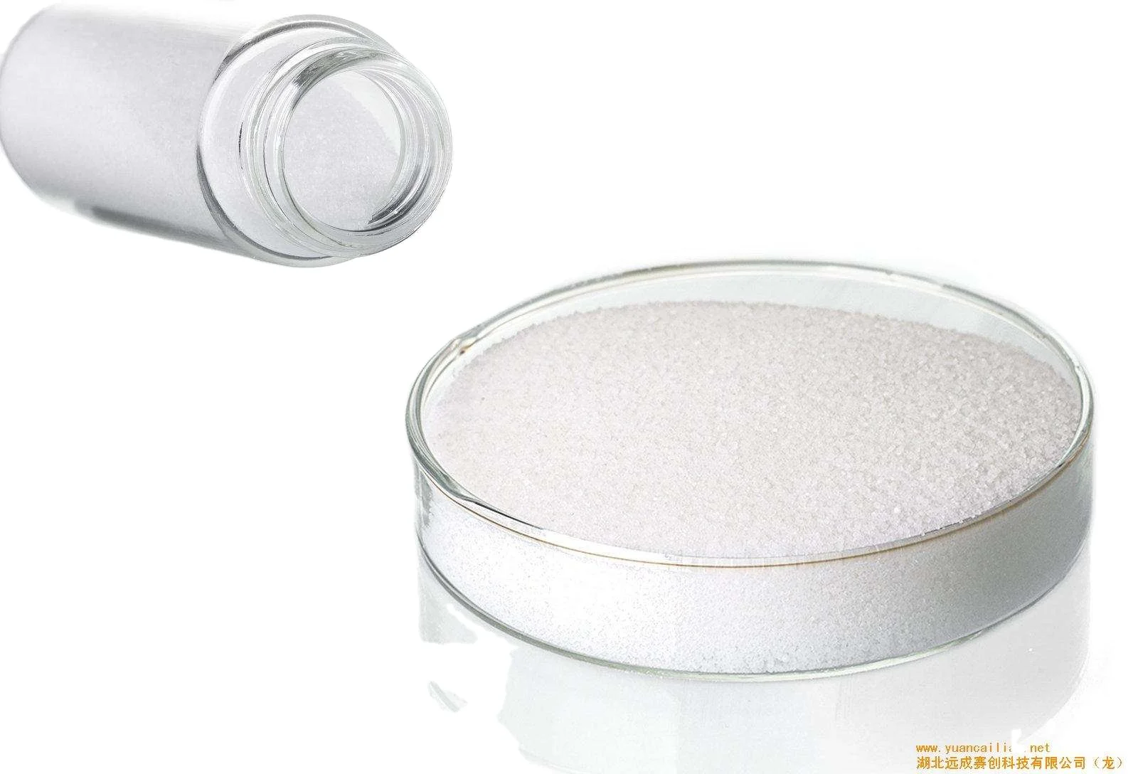 Lactobacillus rhamnosus food ingredients from China factory freeze-dried probiotics powder original manufacturer