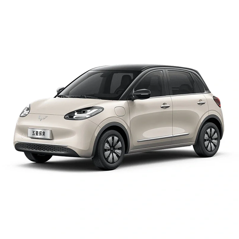 2023 Wuling Binguo EV Bingoo модель 203 км легкий мини-автомобиль для горячих продаж