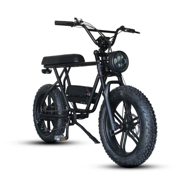 Custom 48V 750W Electric mountain bike fat tire full suspension retro electric bike