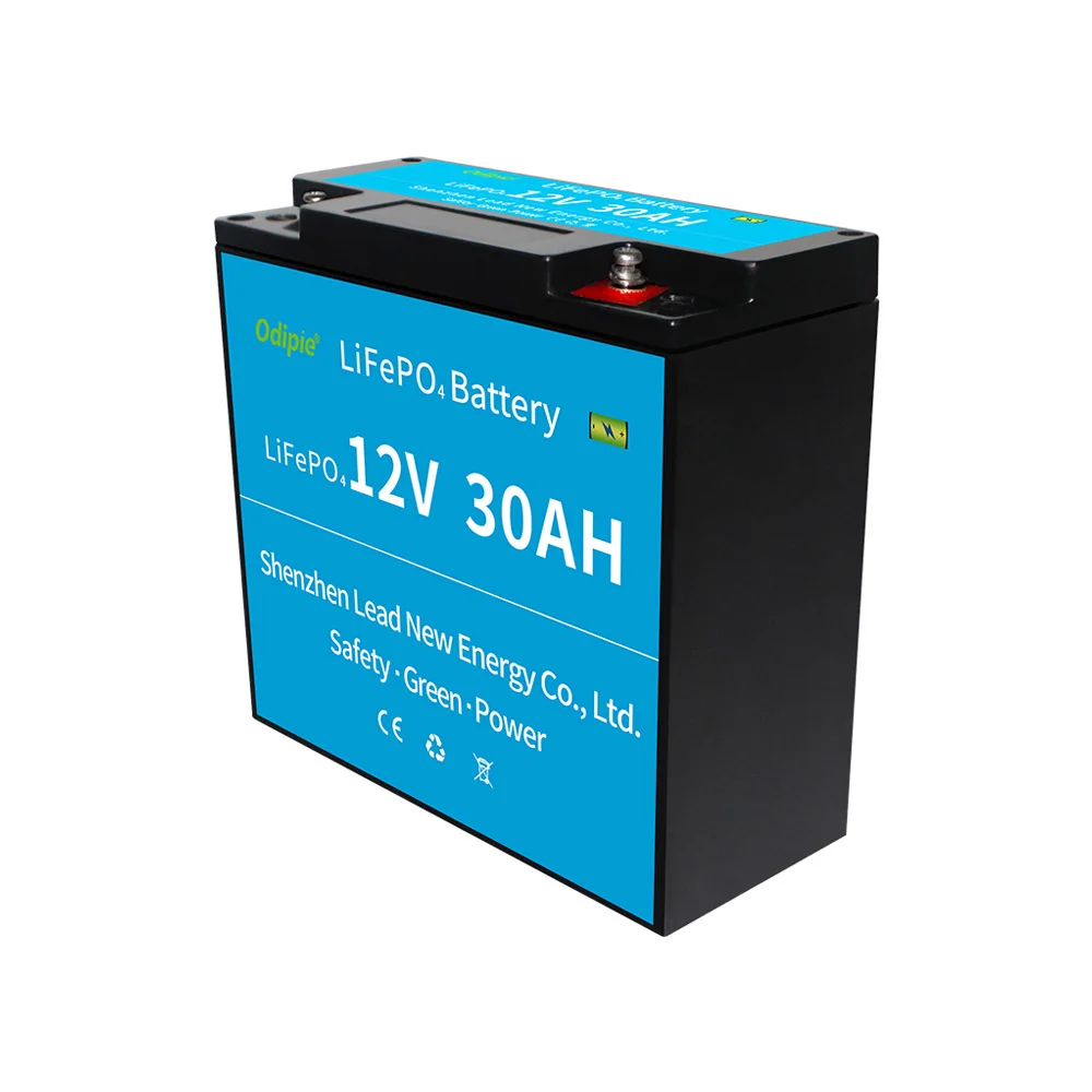Customized Deep Cycle LiFePO4 Battery 30ah 12v Rechargeable Lithium Ion Battery with BMS
