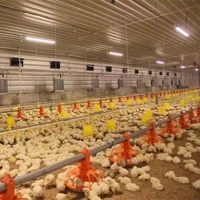 Chicken Farming Steel Structure Prefab House Complete Solutions Automatic Layer Broiler Poultry Cage System